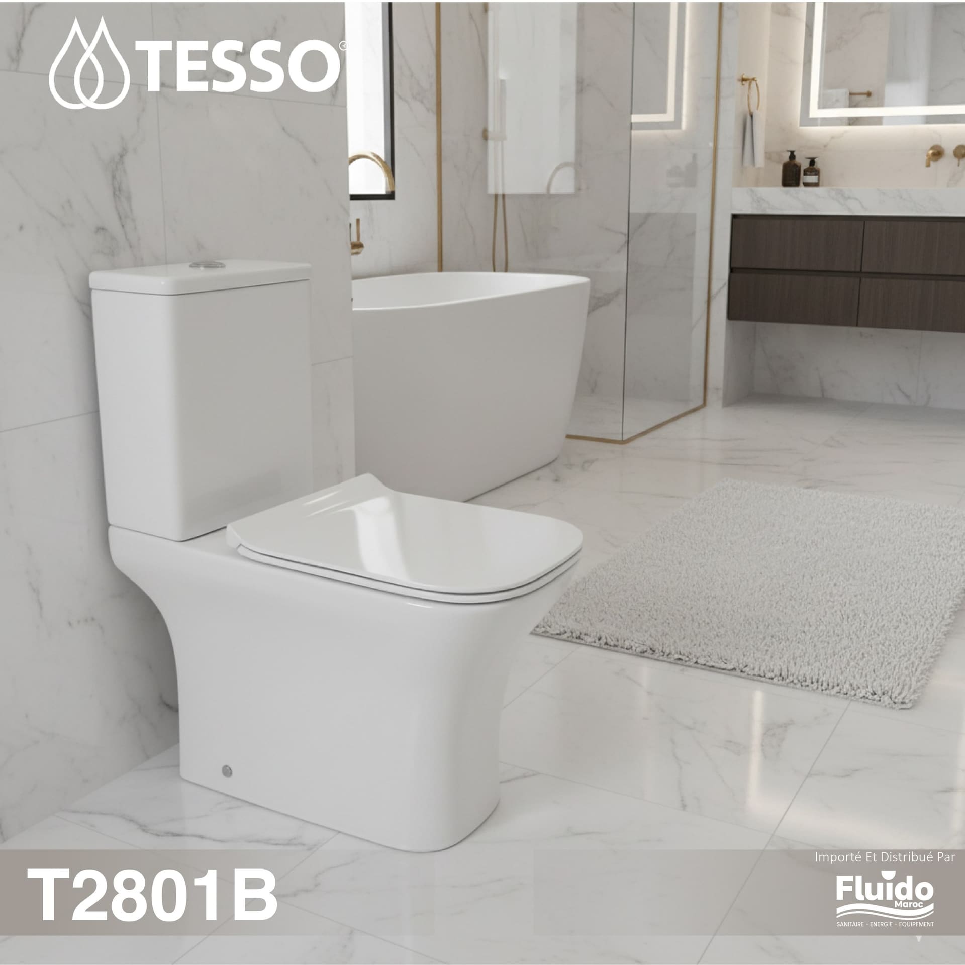 WC Monobloc T2801B – TESSO